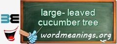 WordMeaning blackboard for large-leaved cucumber tree